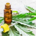 Cannabis for Medical
